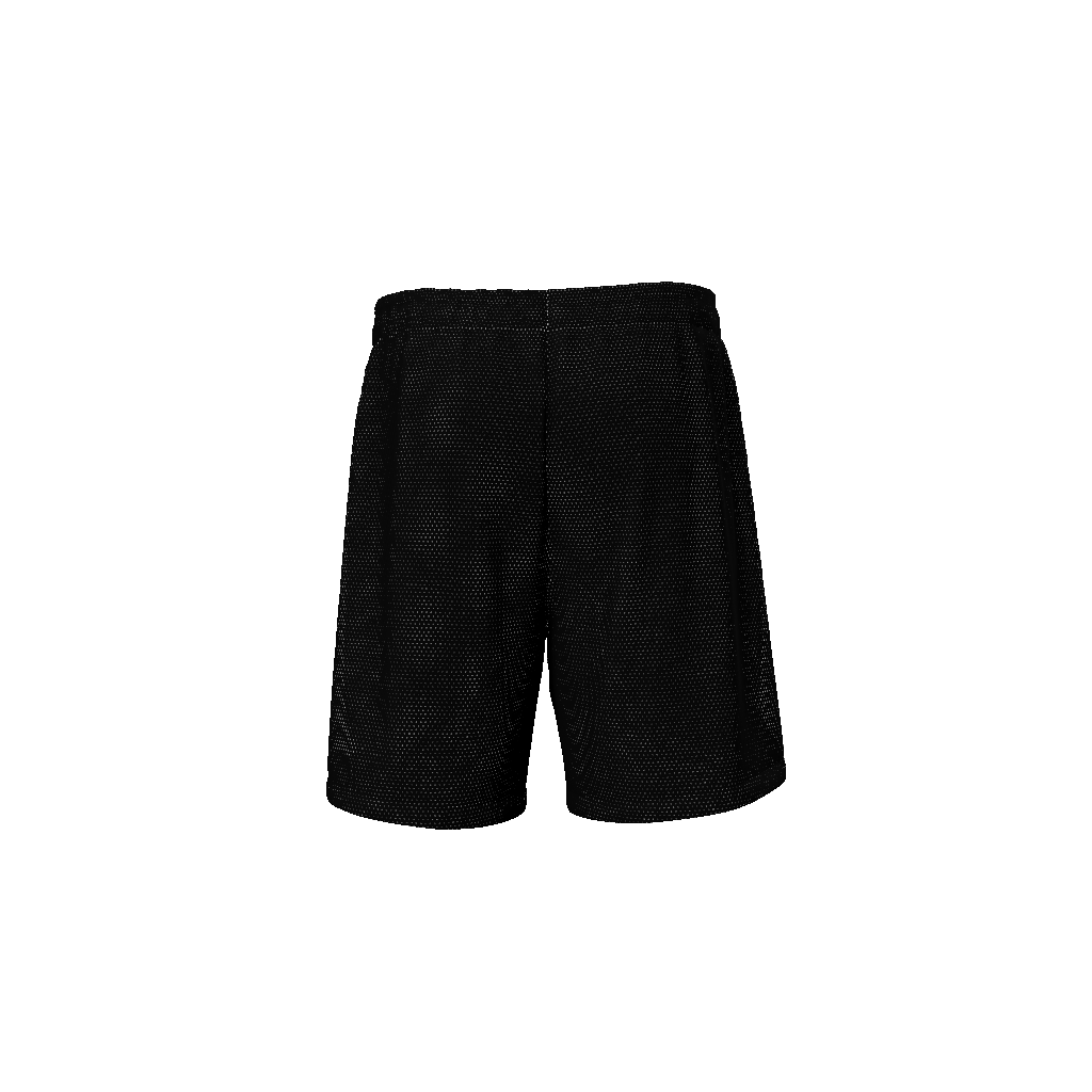 World Tour Mesh Shorts